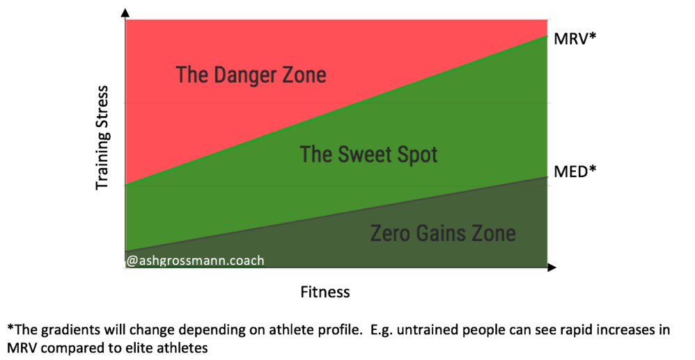 Training stress sweet spot between minimum effective dose and maximum recoverable volume